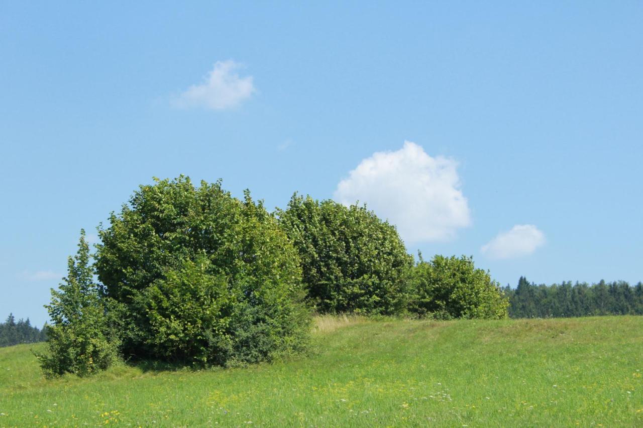 Nerro Appartement Prezid Buitenkant foto